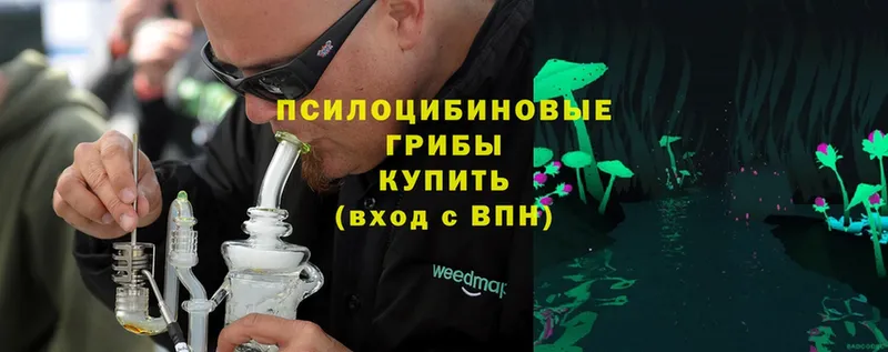 закладка  Белый  Галлюциногенные грибы Psilocybe 